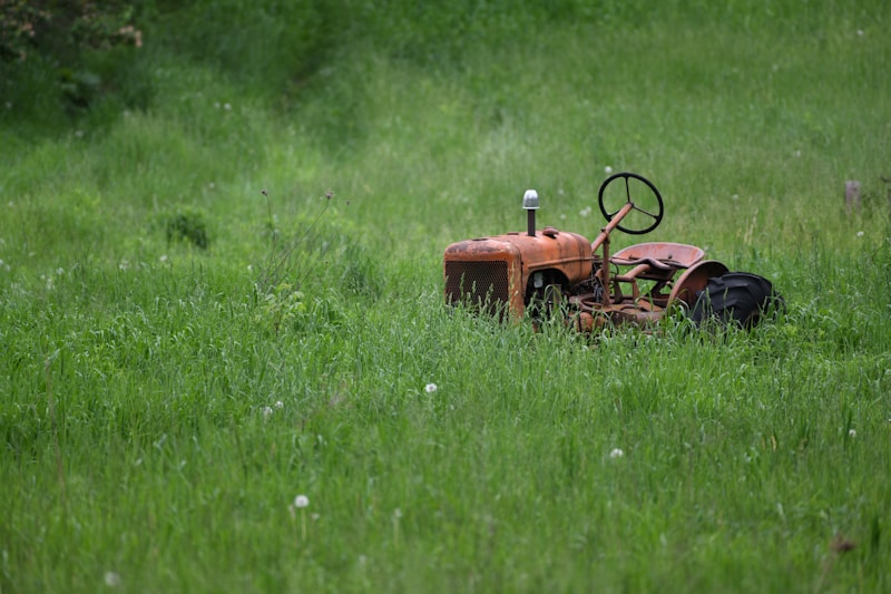 Garden Tractor on Green Grass
